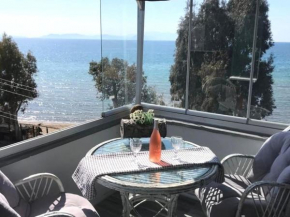 Kusadasi Beachfront Studio Flat